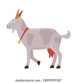 White Goat Animal, Farm Livestock Cartoon Style Vector Illustration