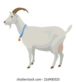 White goat with golden bell, side view, isolated