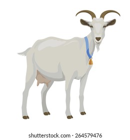 White goat with golden bell, side view, isolated