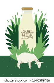 White goat grazing on a green meadow Fresh goat milk in a glass bottle on floral background Flat vector illustration Countryside and farmland, agriculture Organic farm shop or market set