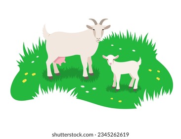 White goat and her little kid grazing in green meadow. Simple flat vector illustration