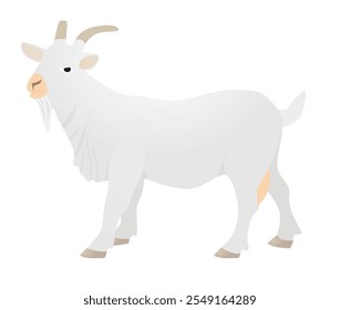 White goat isolated. vector illustration