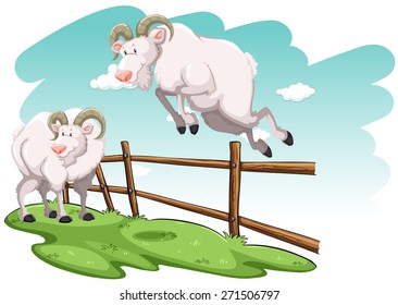 White Goat Jumping Over The Fence