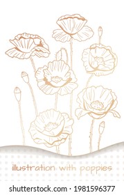 white and gold illustration with poppies