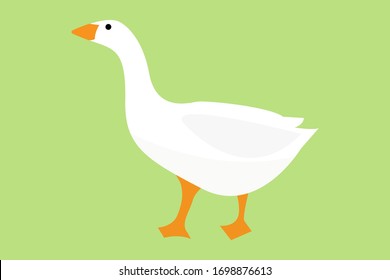 white goose bird on green background, vector stock illustration