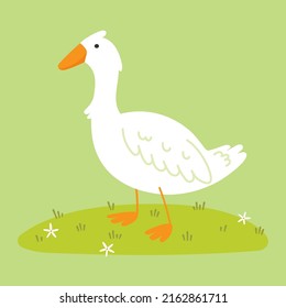 White goose close-up on a green background. Funny illustration in flat style. Isolated vector image