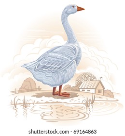 White goose in a countryside landscape. Vector illustration.