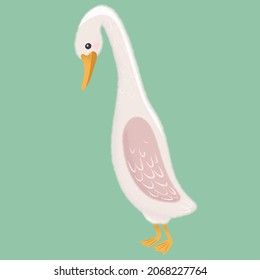 Weißgans in verschiedenen Posen. Cute Vektorgrafik im einfachen handgezeichneten Cartoon-Stil. Cute Cartoon Enten. Zeichenvogel mit Umriss und Textur