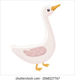White Goose in different poses. Cute vector illustration in simple hand-drawn cartoon style. Cute cartoon ducks. Character bird with outline and texture