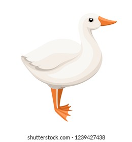 White goose. Farm domestic animal. Flat style animal design. Big home bird. Vector illustration isolated on white background.