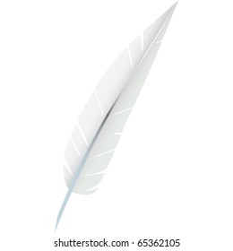 white goose feathers used to stuff pillows