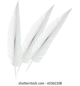 white goose feathers used to stuff pillows