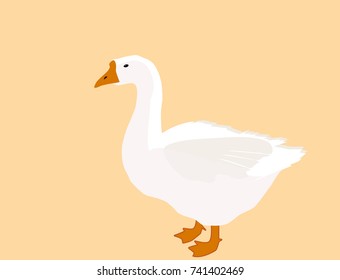 White goose, flat design, vector, eps 10