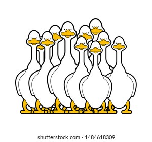 White goose flock isolated cartoon. domestic waterfowl family. vector illustration