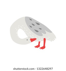 White Goose With Grey Wings, Cute Bird Cartoon Character Vector Illustration