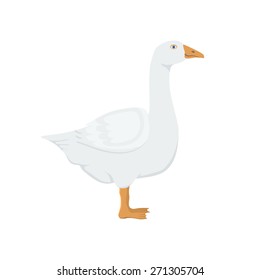 White Goose - Illustration Isolated on White Background