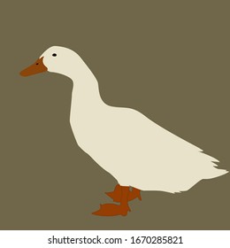 White goose, illustration, vector on white background.