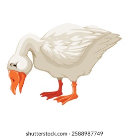 White goose isolated on a white background. Vector illustration for your design