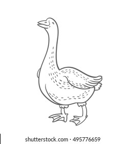 White Goose isolated on white background, goose hand drawn, vector illustration sketch, poultry, cartoon funny goose, 
