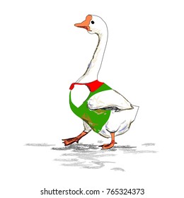 White goose isolated on white background