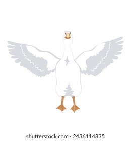 White goose spreads and flapping its wings. Vector isolated illustration