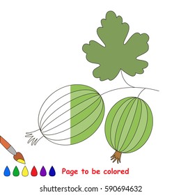 White Gooseberry in vector to be traced, restore dashed line and color the picture, the simple visual game with easy education game level for preschool kids.