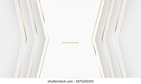 White gradation stripe line background, Abstract monochrome elegant geometric backdrop, Vector illustration