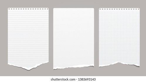 White grainy ripped, lined and squared notebook, note paper stuck on grey background. Vector illustration.