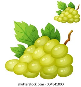White grape. Cartoon vector icon isolated on white background. Series of food and drink and ingredients for cooking.