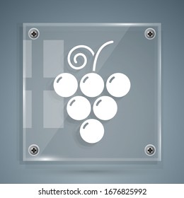 White Grape fruit icon isolated on grey background. Square glass panels. Vector Illustration