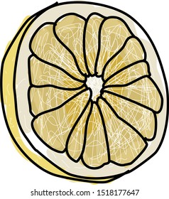 White grapefruit, illustration, vector on white background.