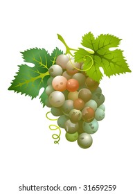 White grapes