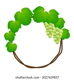 White Grapes And Grape Vine Wreath