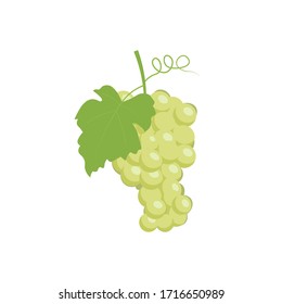 White Grapes isolated on white background.