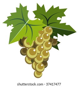 White grapes with leaves