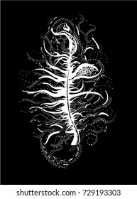 White graphic illustration of feather. Vector abstract feather