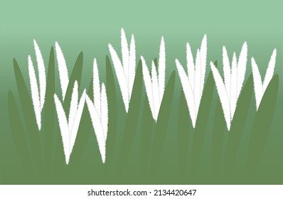White grass in misty green background.