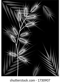 hierba blanca sobre negro