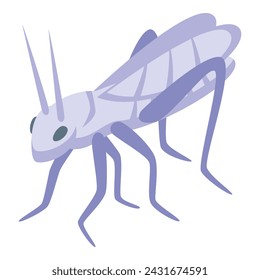 Icono de saltamontes blanco vector isométrico. Arte color vida. Plaga facial de langosta