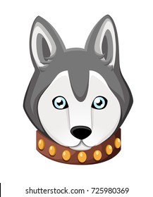 White And Gray Adult Siberian Husky Dog With Blue Eyes . Face of dog. Nice puppy for greeting card, pet shop or veterinary clinics. Web site page and mobile app design element