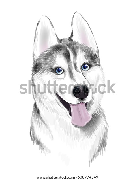 青い目をした白と灰色の成人のシベリアン ハスキー犬 犬の顔 のベクター画像素材 ロイヤリティフリー