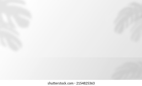 white and gray background with leaves shadow. empty backdrop with studio lighting effect for product display