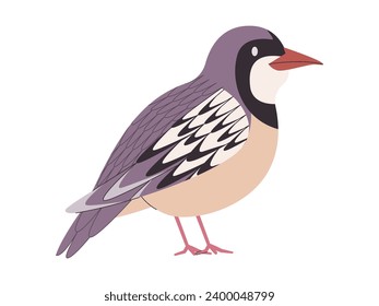 white gray and black color small bird chukar species pretty cute nature animal wildlife creature