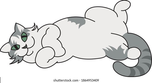 White gray cat rolling on the floor