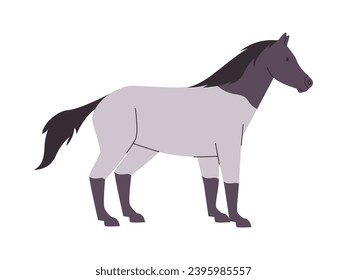 white and gray color horse mare or stallion wild nature mammal animal have tail and power fast run