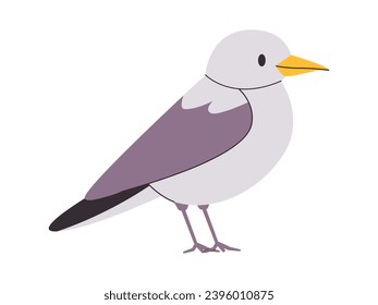 white and gray color small bird pretty cute nature animal creature wildlife beautiful species