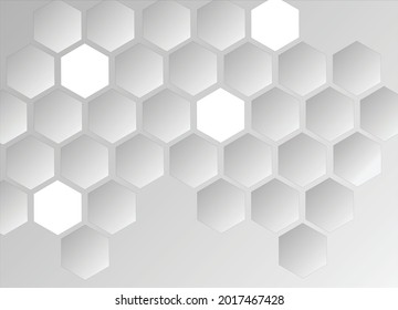 white gray hexagon vector 
background