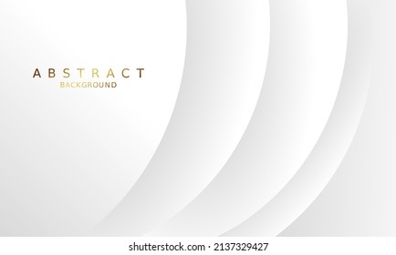 white gray luxury abstract background