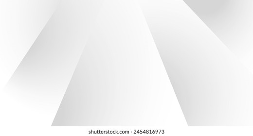 White and gray minimalist shape abstract background. texture white pattern. vector illustration