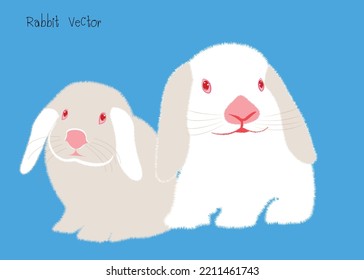 Conejo blanco y gris. icono del vector de conejo de dibujos animados. Icono de dibujos animados aislados conjunto.Ilustración del Conejo vectorial sobre fondo aislado.
